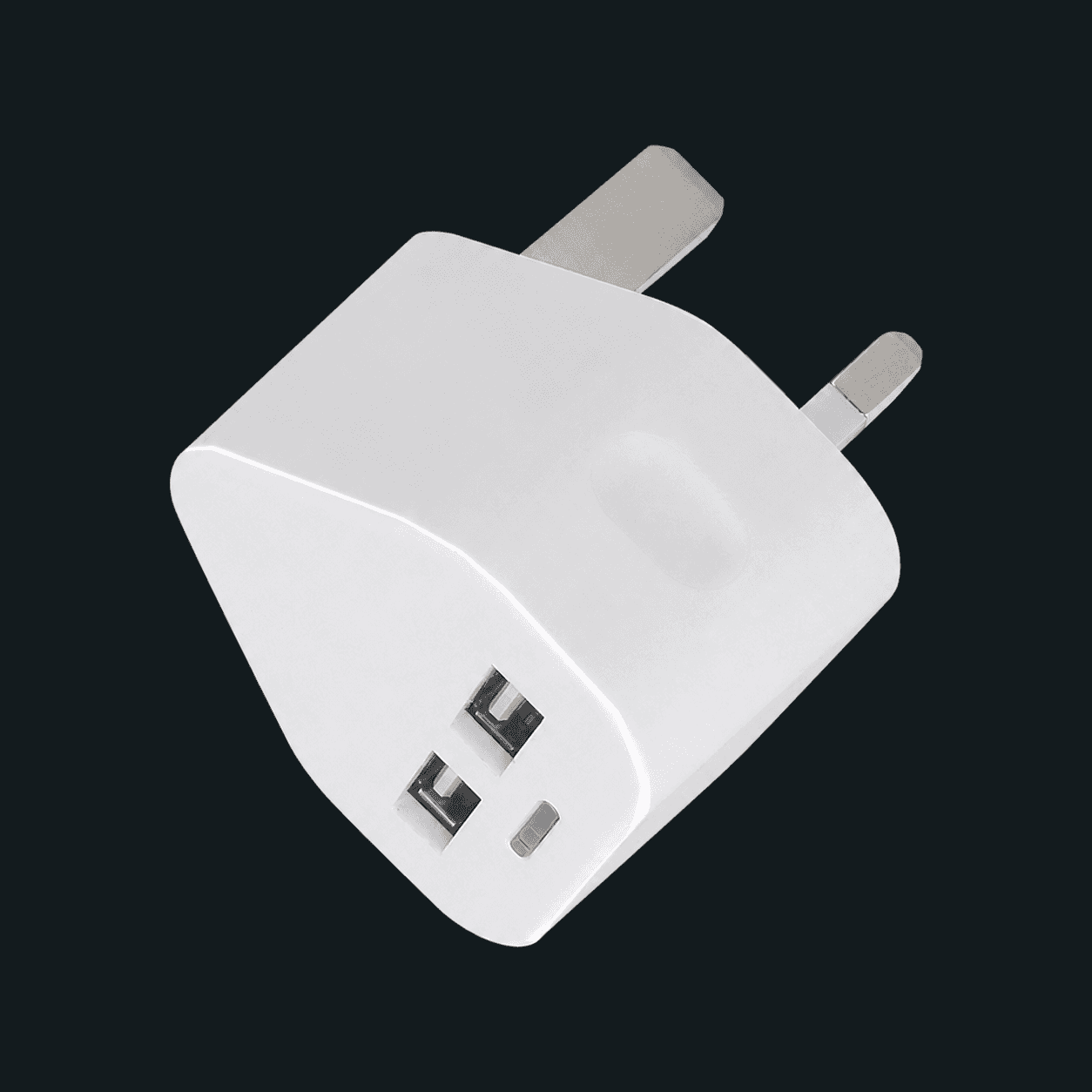 2.4amp Dual USB Plug