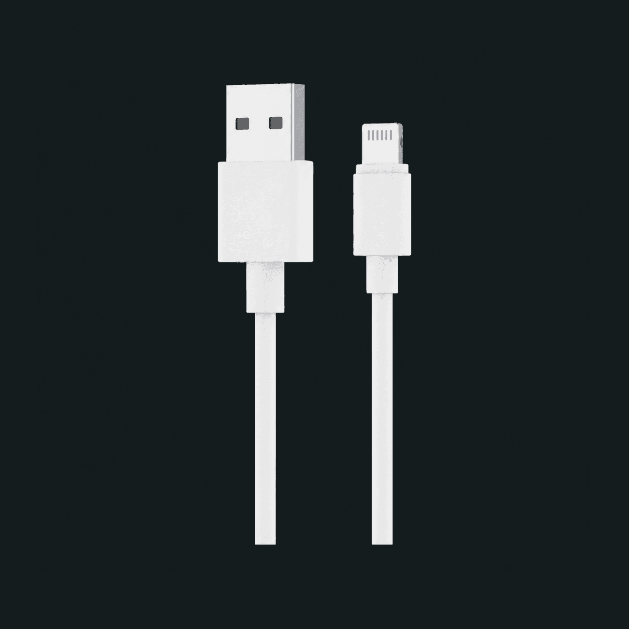 USB To IPhone 1m Fast Charging Cable For IPhone 11